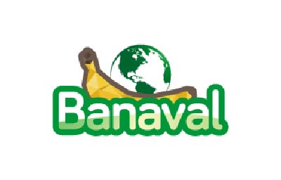 Logo Banaval - remodelacion de oficinas Artmosfera